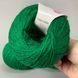 Трава  (009).Пряжа Avanti Yarn Baby Soft 700 м / 50 г . Склад: 100% акрил 855488777777 фото 2