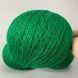 Трава  (009).Пряжа Avanti Yarn Baby Soft 700 м / 50 г . Склад: 100% акрил 855488777777 фото 3