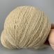 Беж (010).Пряжа Avanti Yarn Baby Soft 700 м / 50 г . Склад: 100% акрил 775488777777 фото 3