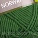 YarnArt Norwey ( норв)- 248 зелений 901368177 фото 2