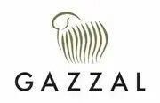 Пряжа Gazzal