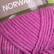 YarnArt Norwey ( норв)- 849 суха троянда 901392486 фото 2
